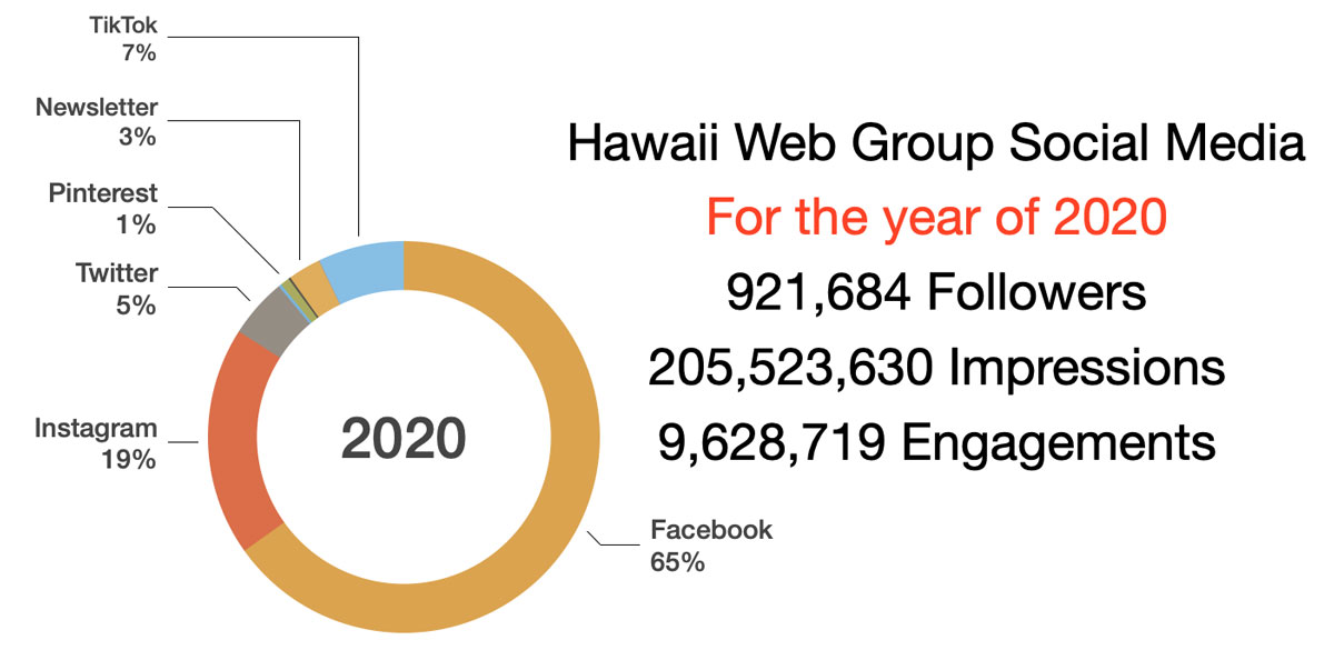 2020 Hawaii social media